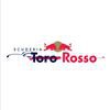 7. Scuderia Toro Rosso 3 Punten